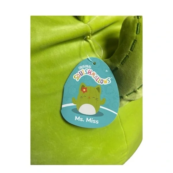 NEW Squishmallows 16” Ms. Miss Cactus Plush Stuffie - Picture 3 of 3